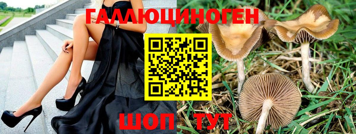 Галлюциногенные грибы ЛСД  Вход с VPN  Галлюциногенные грибы GOLDEN TEACHER  Ноябрьск 
